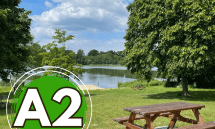 Organiser une sortie