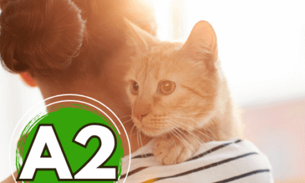 Un service entre amis A2