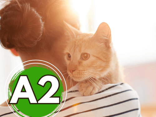 Un service entre amis A2